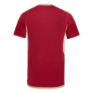 Camiseta réplica Venezuela Primera equipación masculina 2024