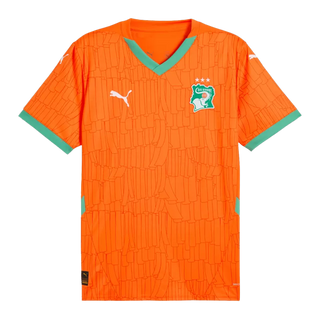 Men's Fan Version Ivory Coast Home Jersey 2025